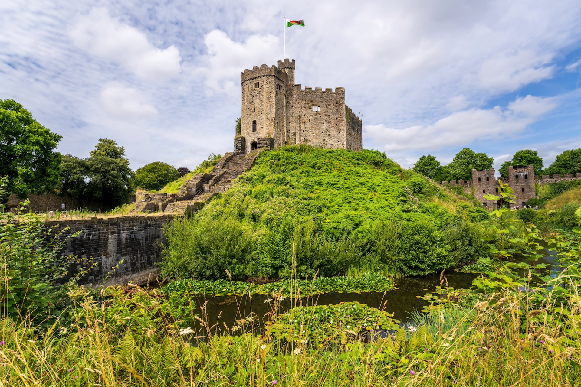 shutterstock_2501239867-1731417311