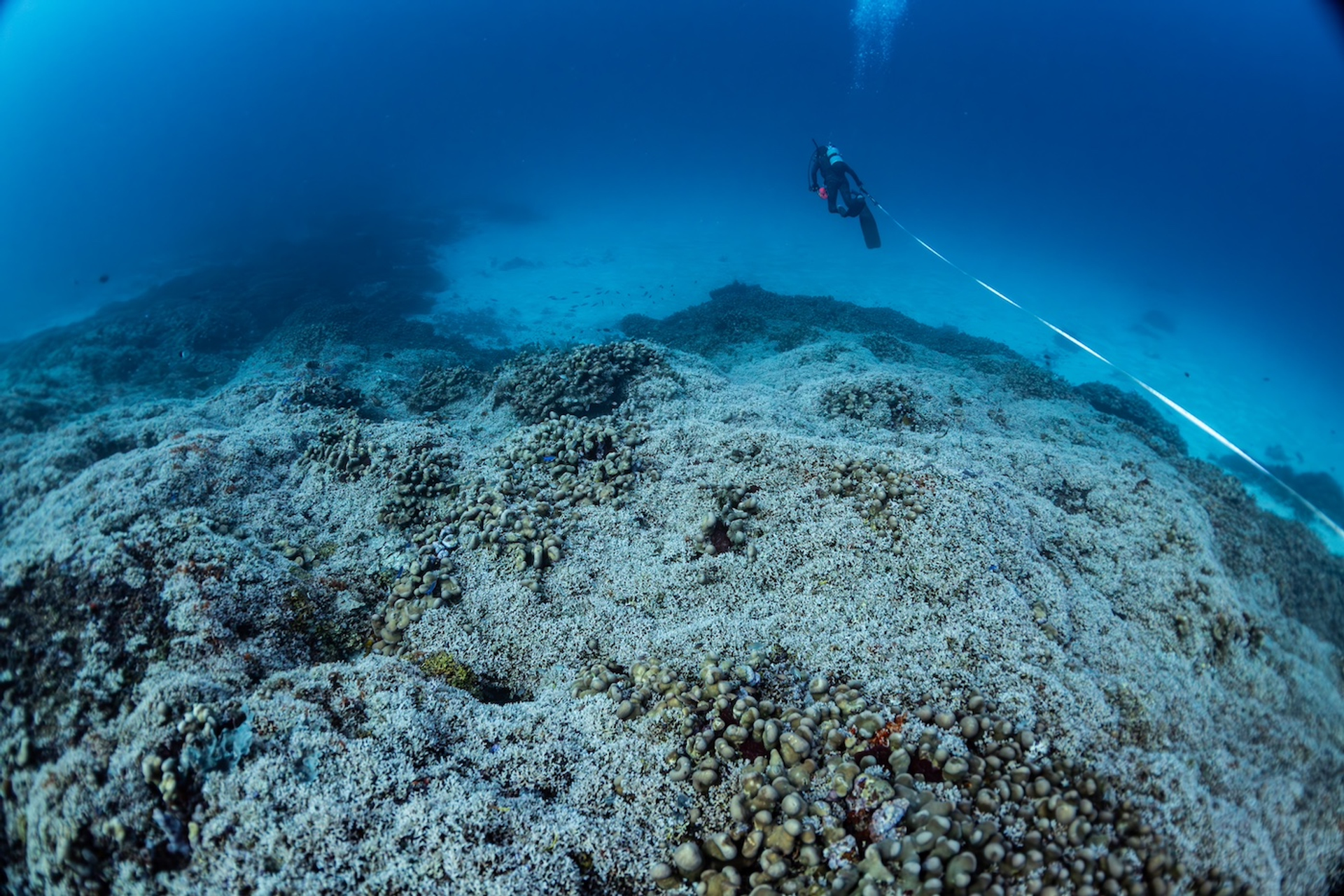 24102024-02023_MANU_San_Fe_lixMSF_2580-Mejorado-NR-1732613785