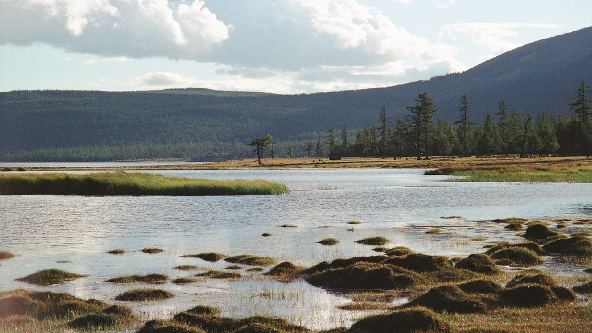 e90b2d3d-49cc-4857-bebd-3d3eb12c9989-1605104194