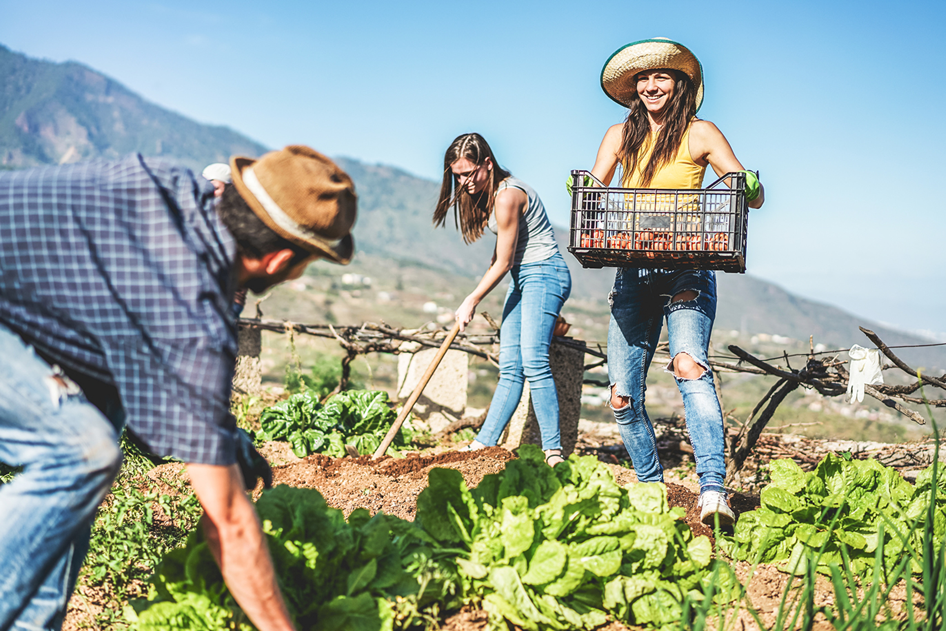 3OR_Work_away_farm_work-1663229592