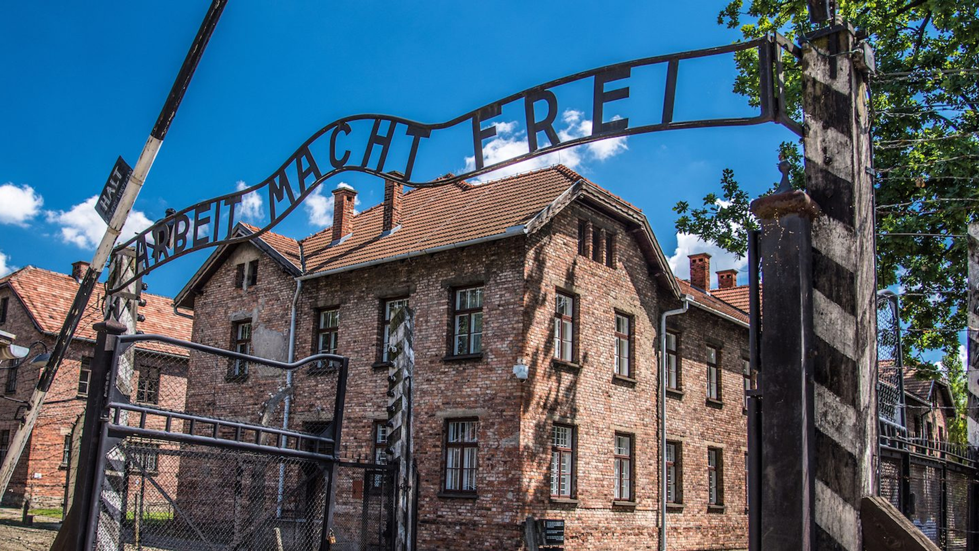 d99997a8-8d29-447a-885c-c22fc911749b-1605105523