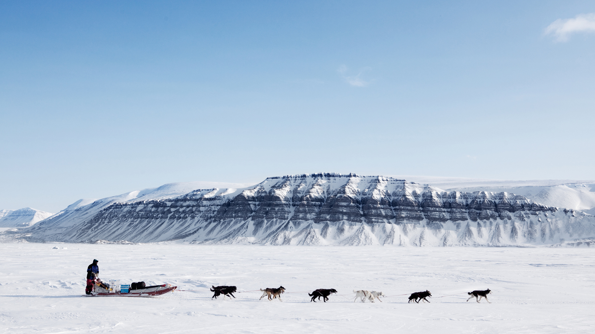 3OR_Noorwegen_Husky-1663918927