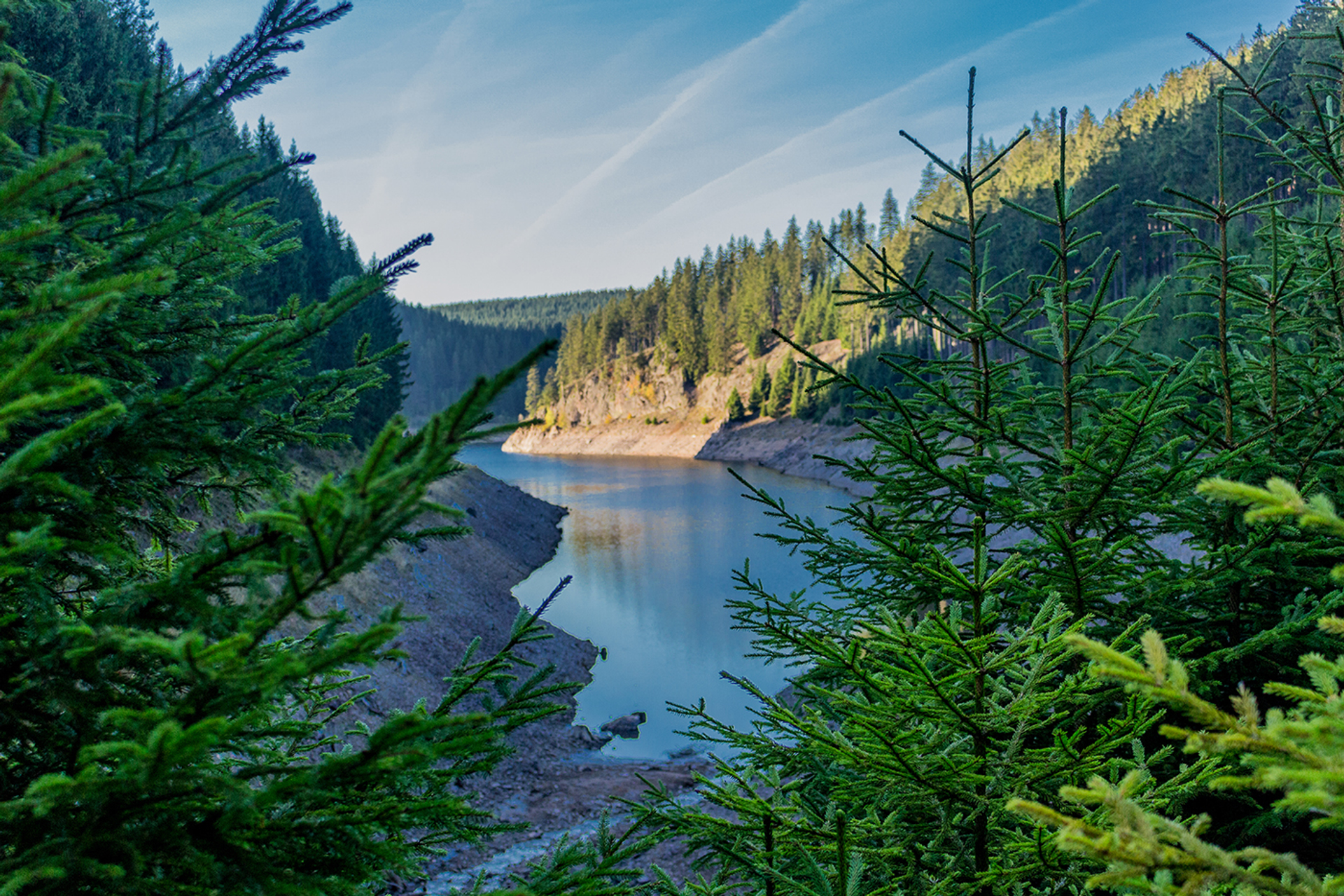 3OR_dam_in_Thu_ringerwoud-1650466890