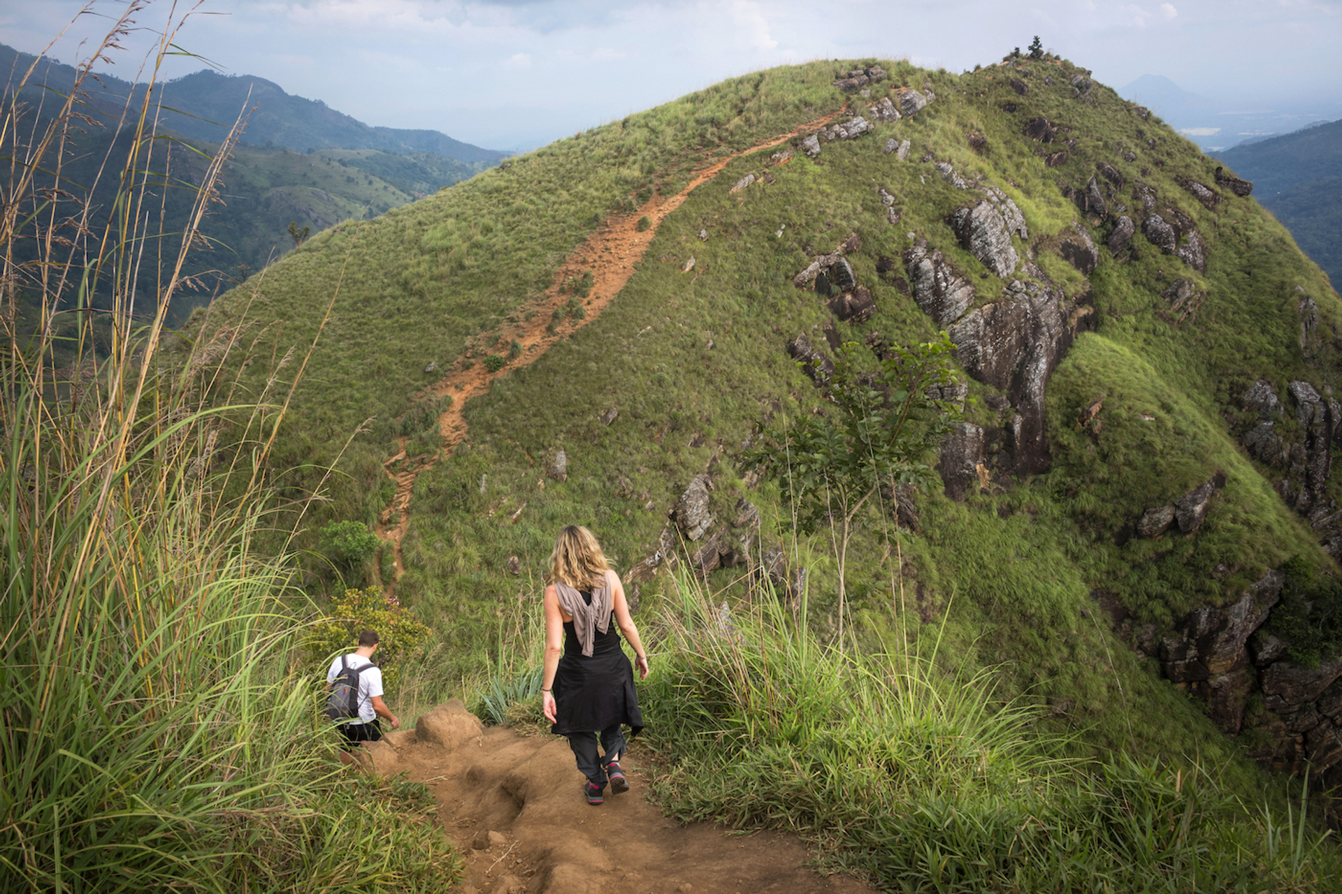 shutterstock_1165628485-1707731422