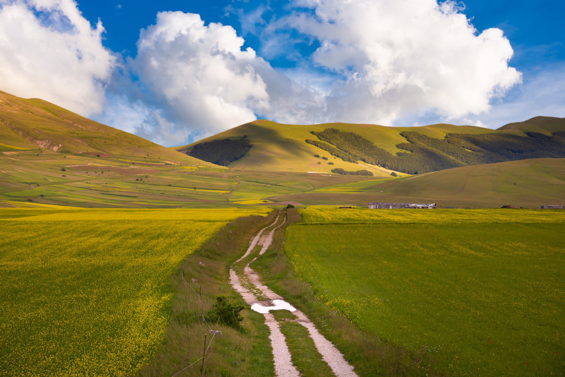 shutterstock_1780528160-1706111434