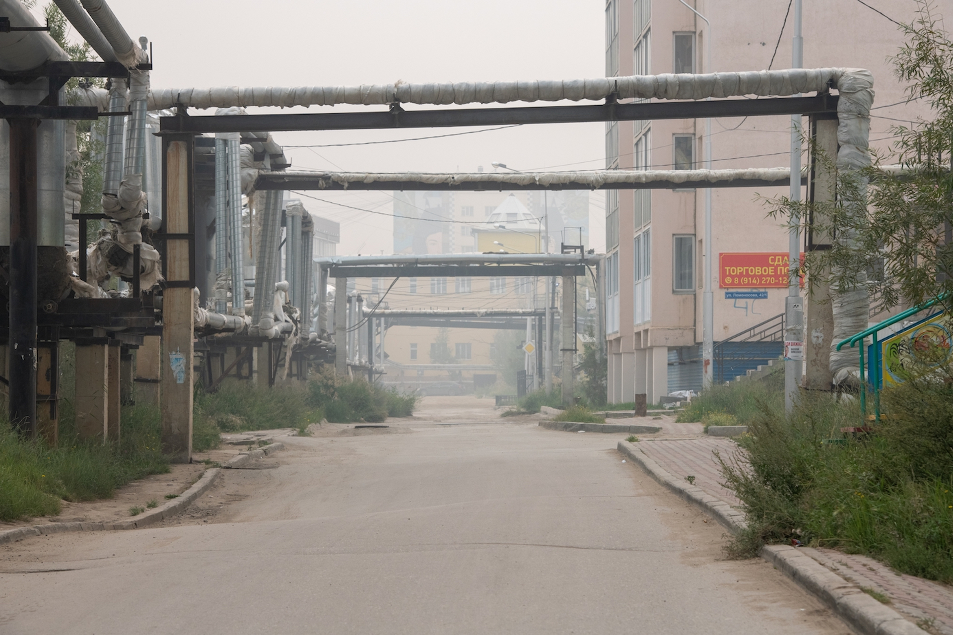 Tatiana_Gasich_3-1648649768