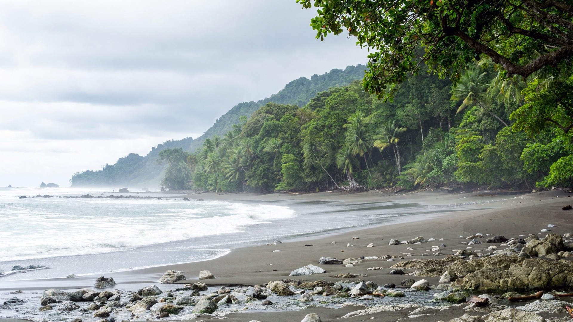 7b870314-e3bf-44c6-9388-4496341d7728-1605100960