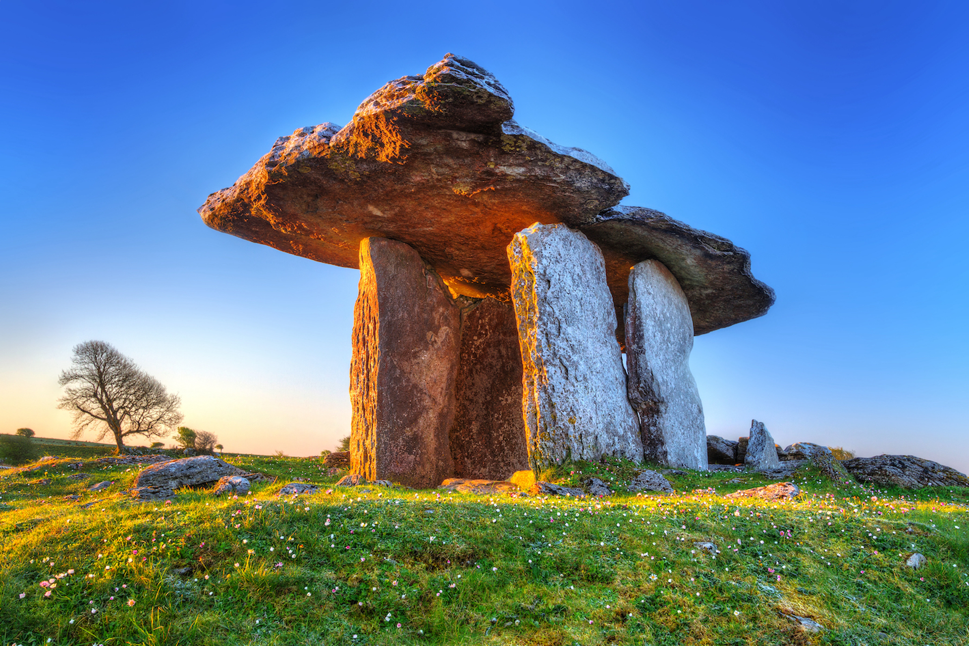 Atlantic6-1619782281