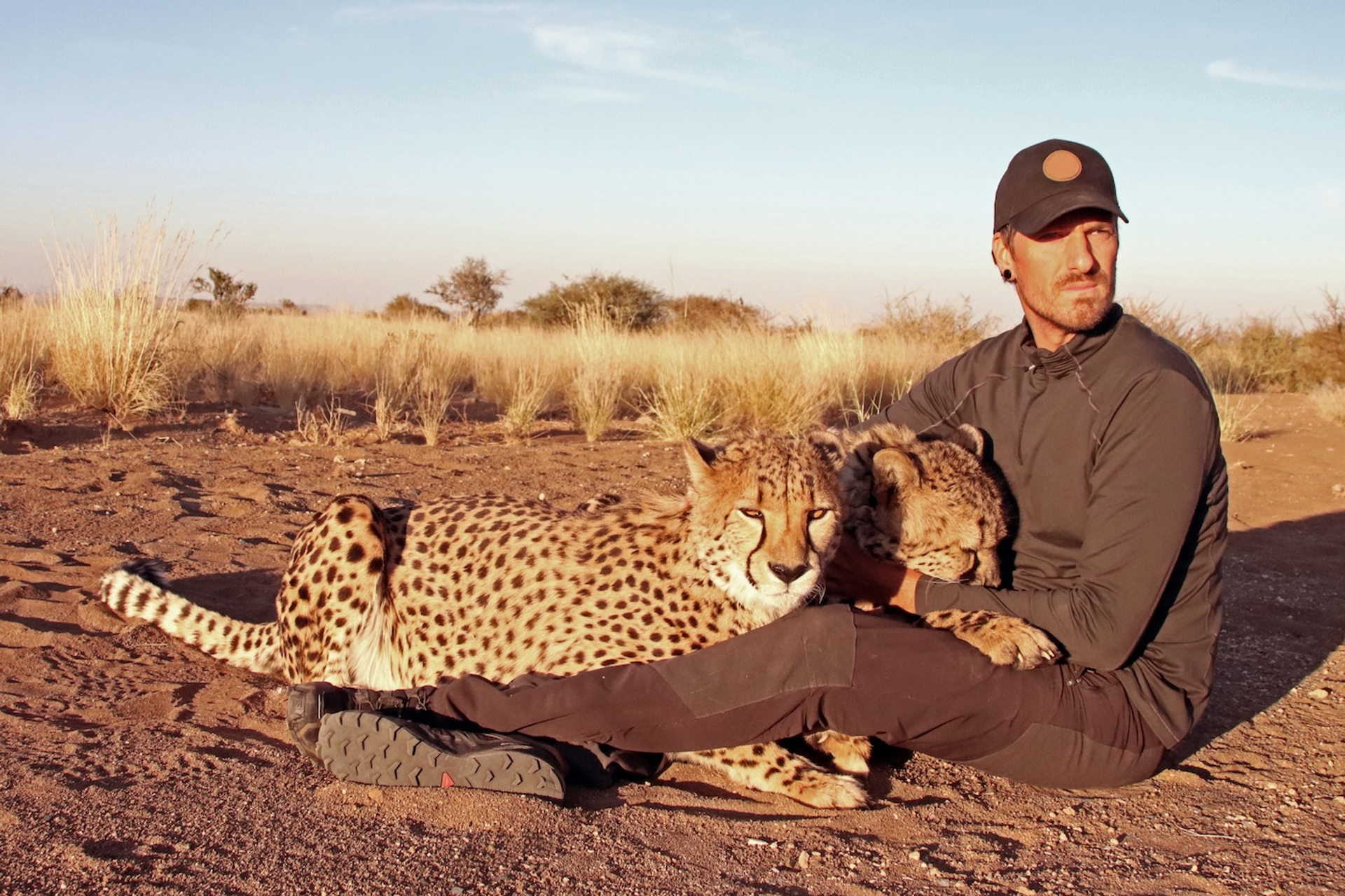 shutterstock_1991137547-1744895752