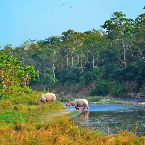 Chitwan National Park
