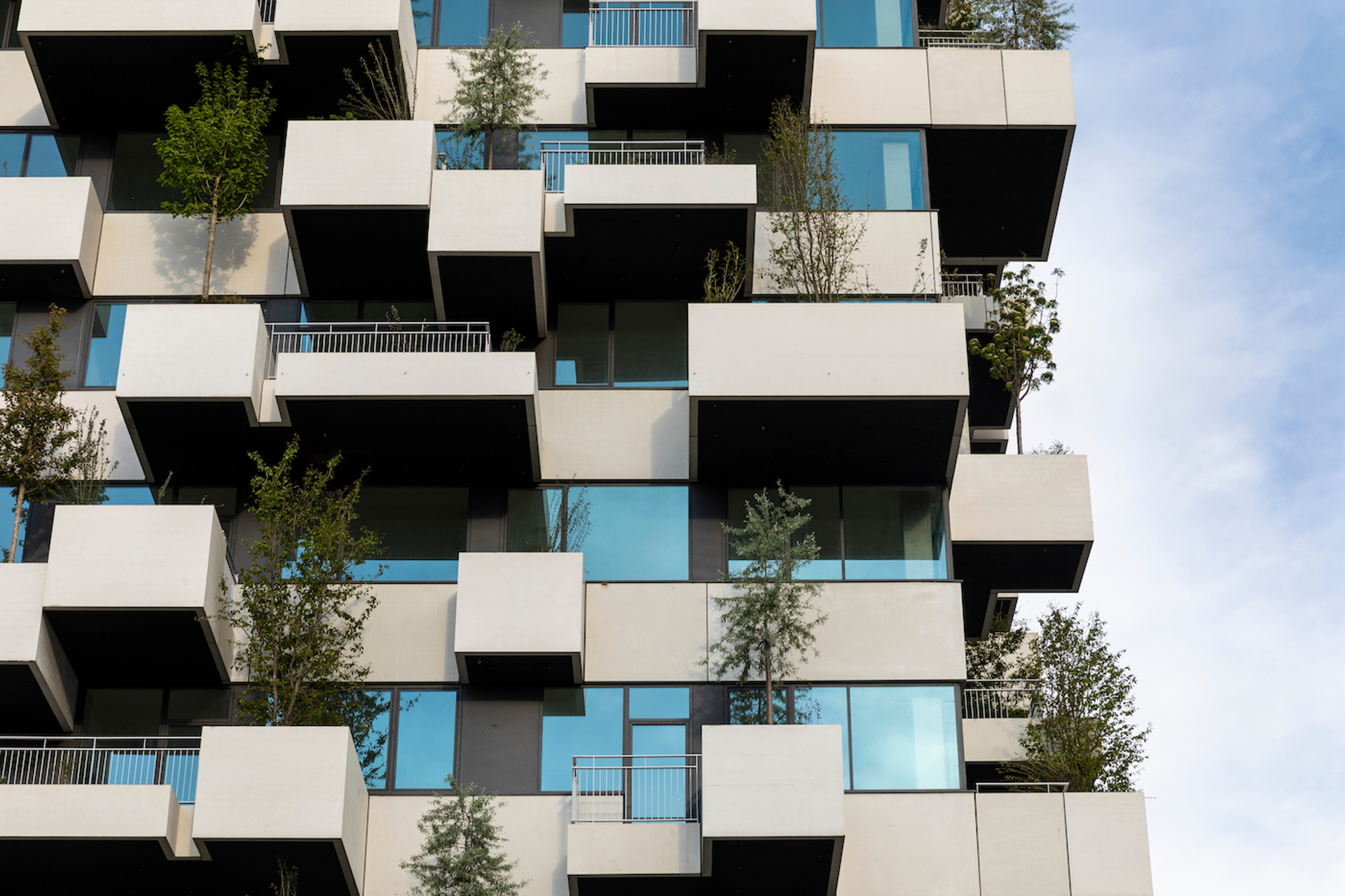 VerticaalBos7-1624611689