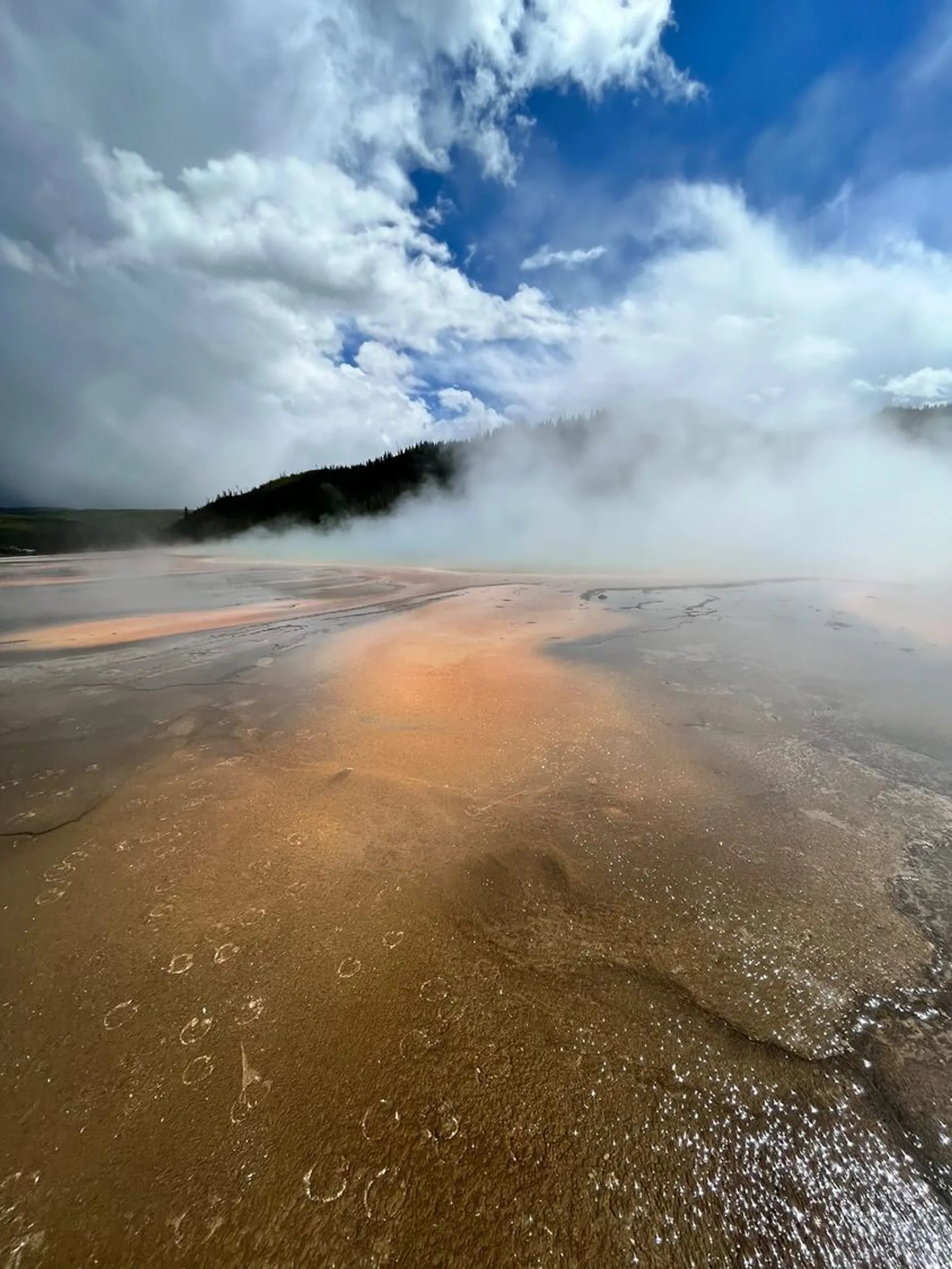 Iris_Weelink-1683624276