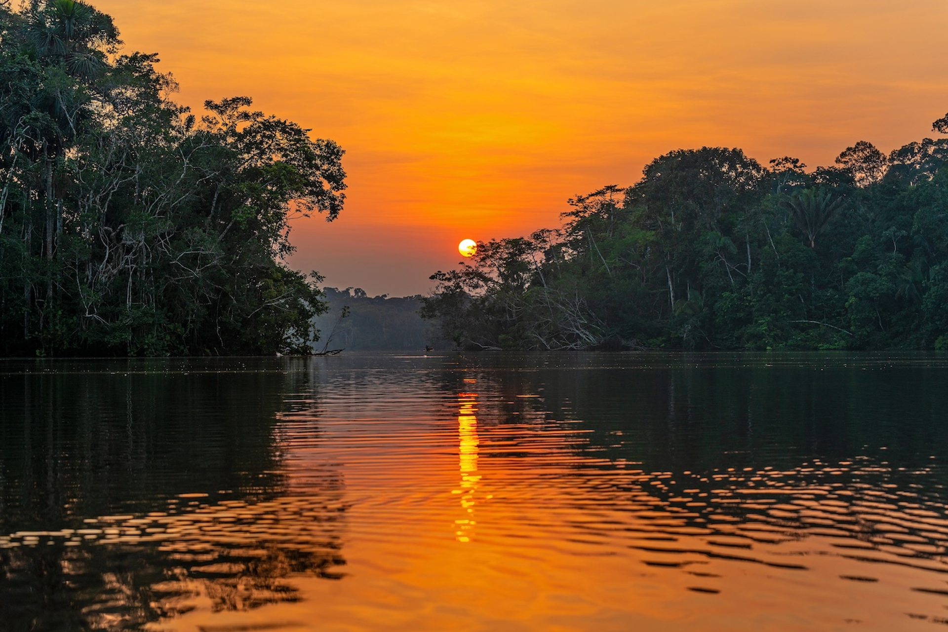 Afbeelding van Een reis door Suriname: deze plekken mag je niet overslaan