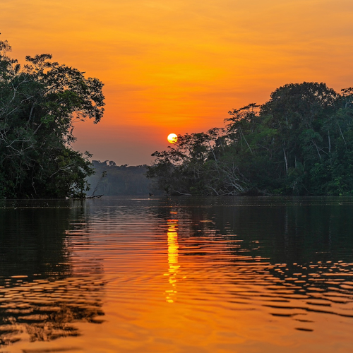 Een reis door Suriname: deze plekken mag je niet overslaan