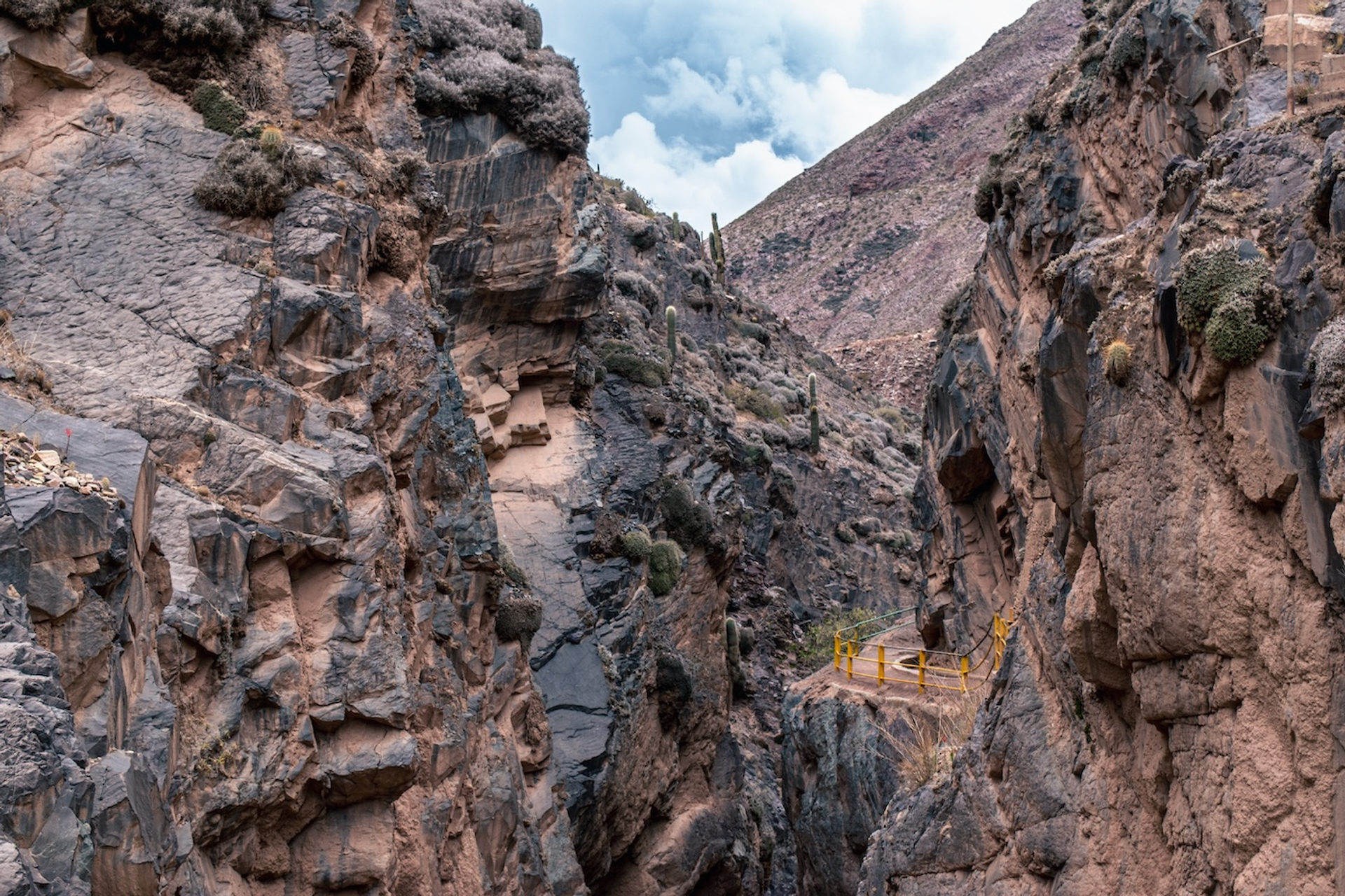 shutterstock_2124043865-1750859101