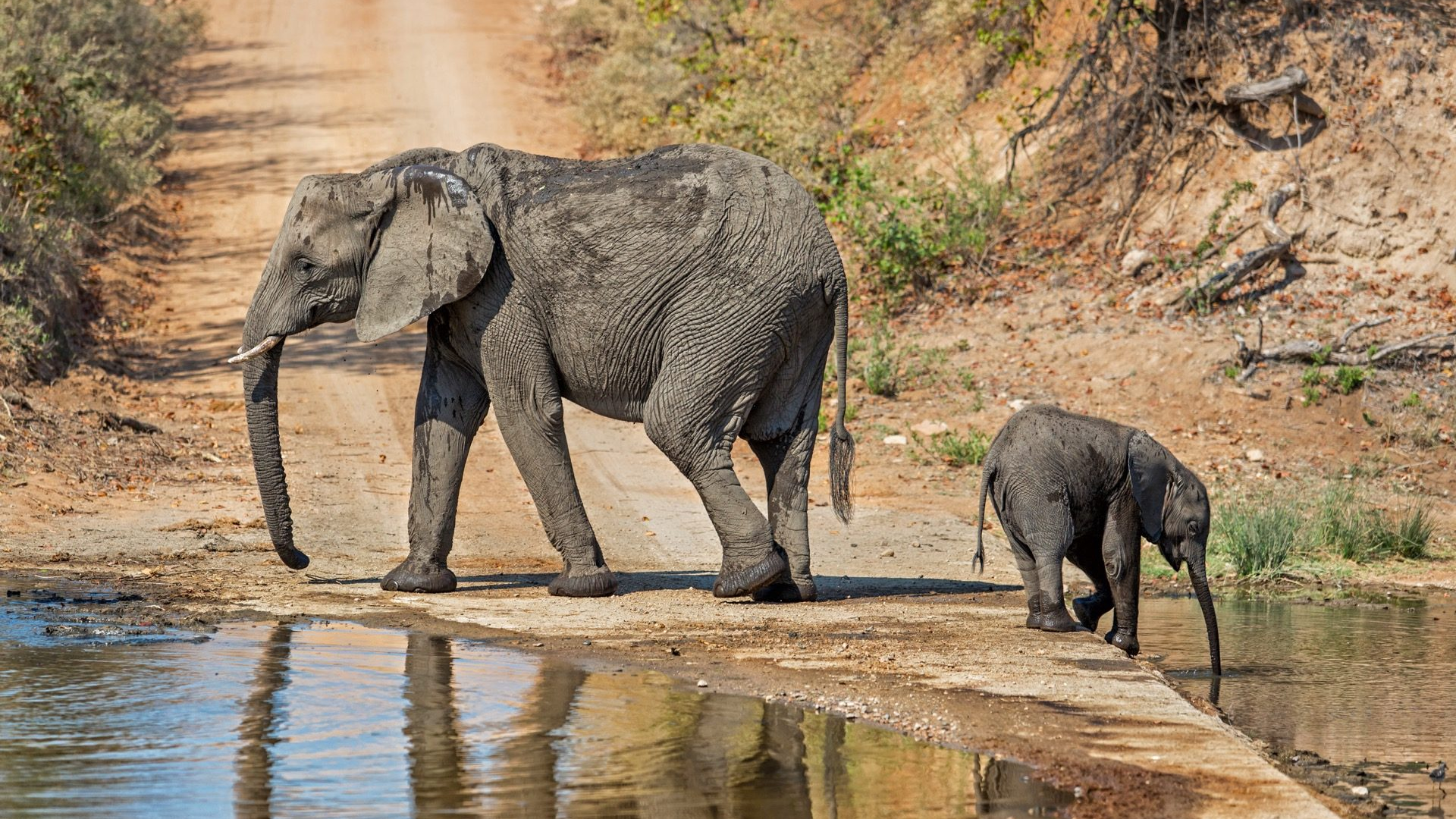 5eb8cb8b-24df-44f6-bddd-04f969537754-1605100406