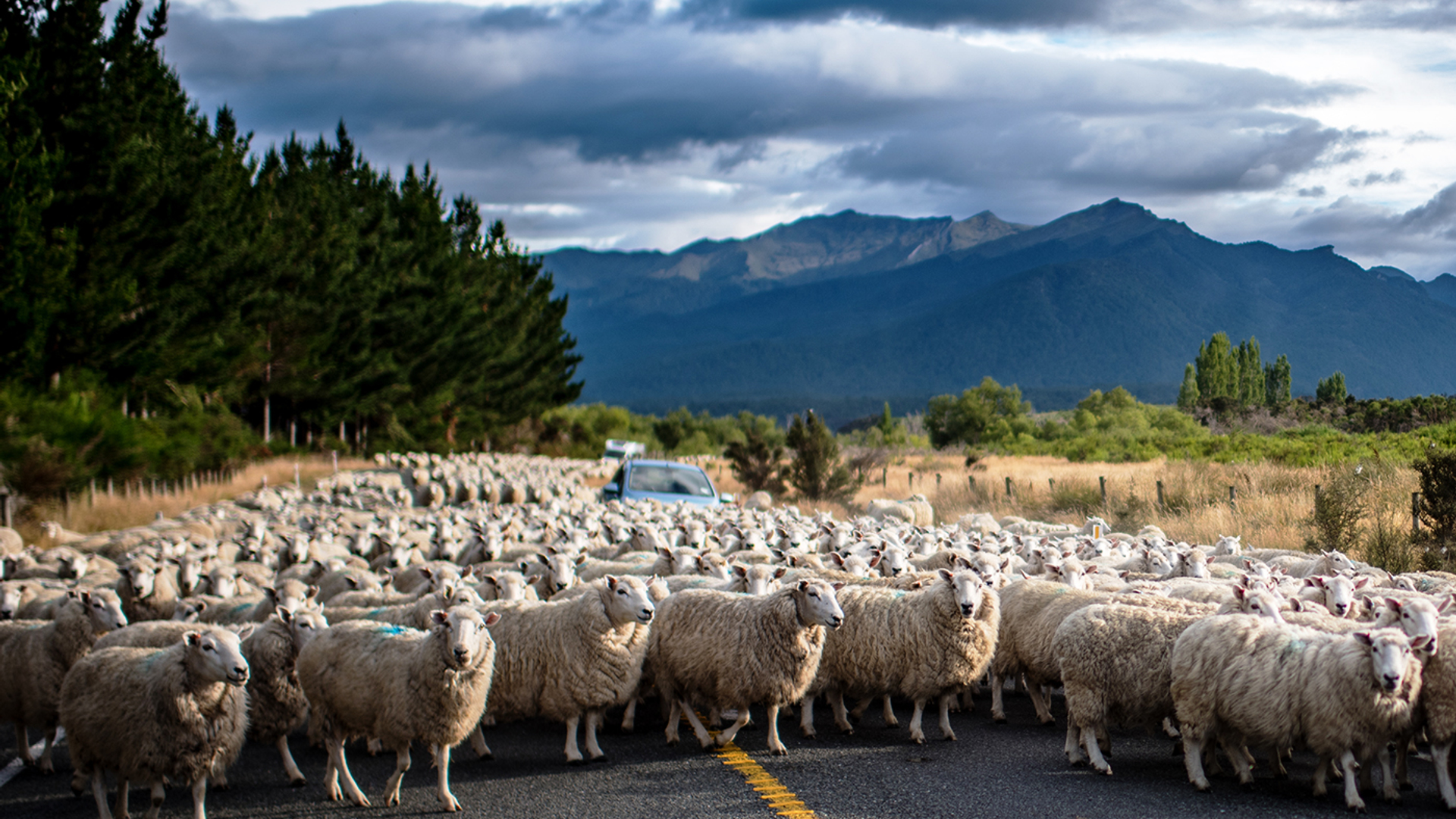 3OR_Te_Anau_Nieuw-Zeeland-1660574641