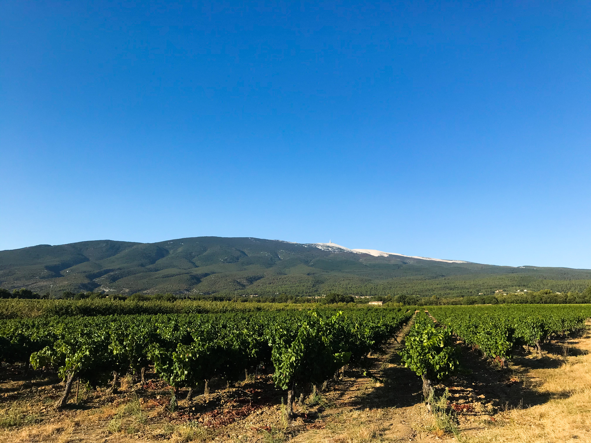 Mont_ventoux-1612887001