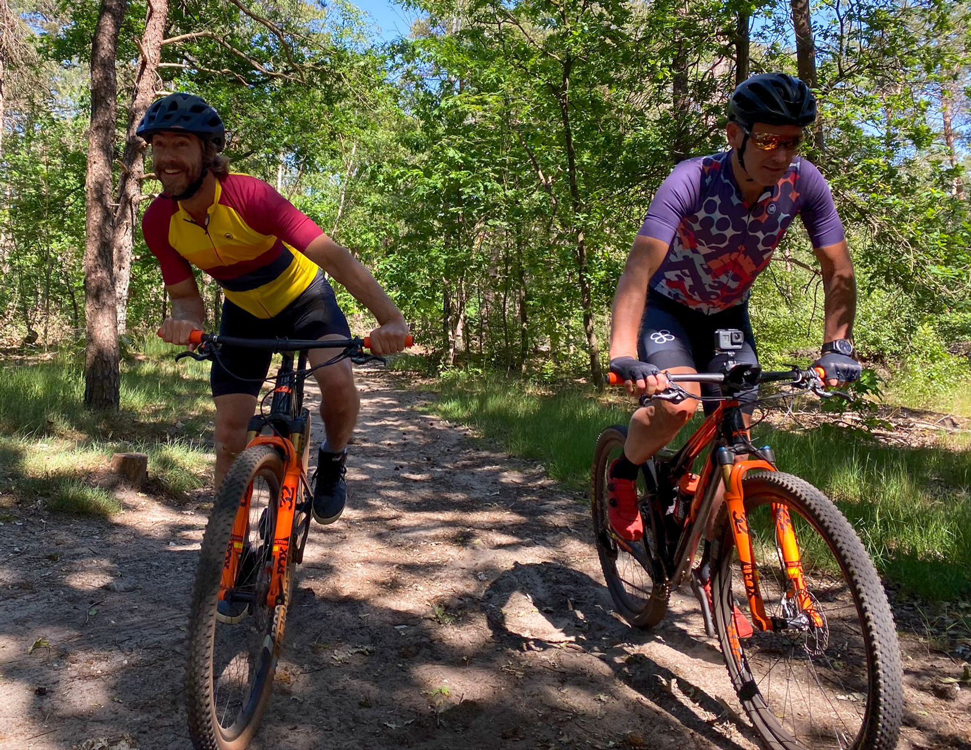 sallandse_heuvelrug-1610630482