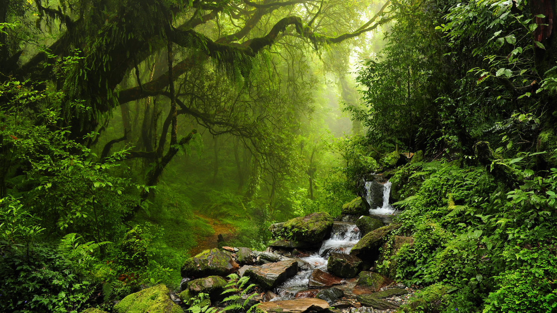 Teo_Tarras___Shutterstock.com-1679654077