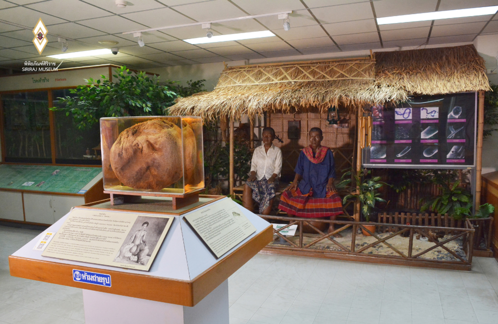 Siriraj_2-1743671837