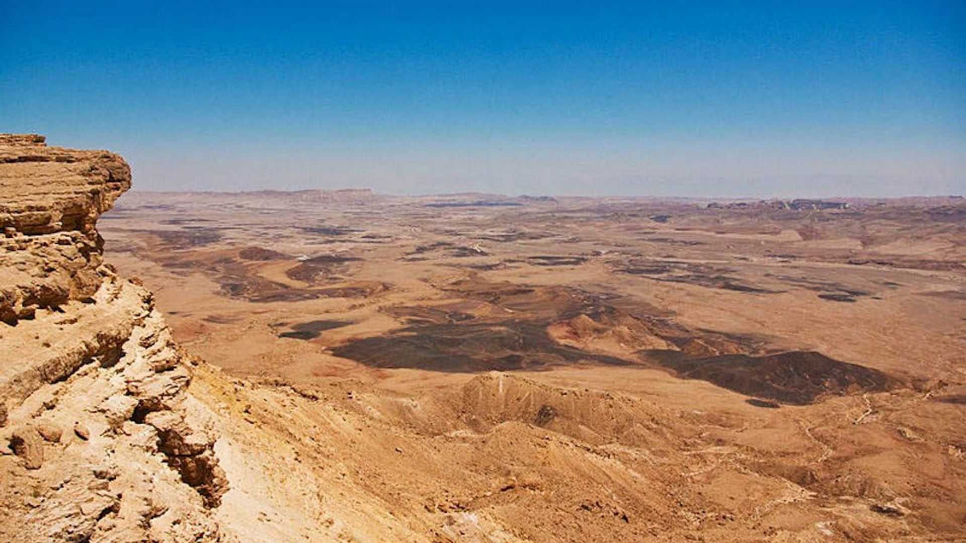 da8c81ed-cb99-4096-8b38-9d2c136a134a-1605104389