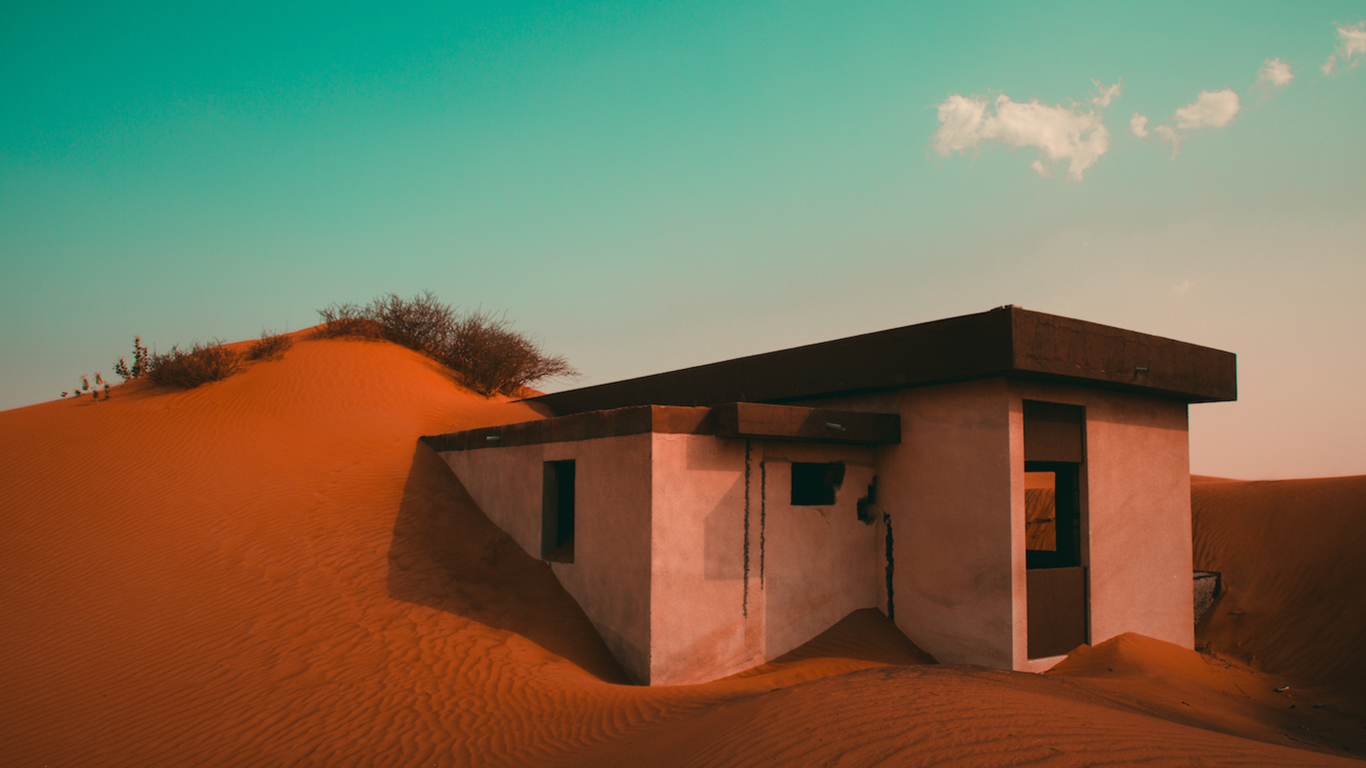 charlie2094_2___Shutterstock.com-1677088449