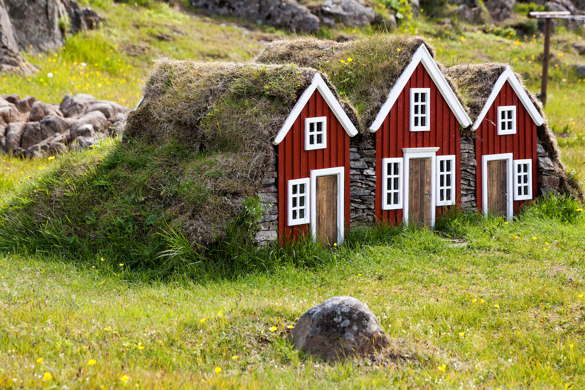 shutterstock_1096767083-1636563918