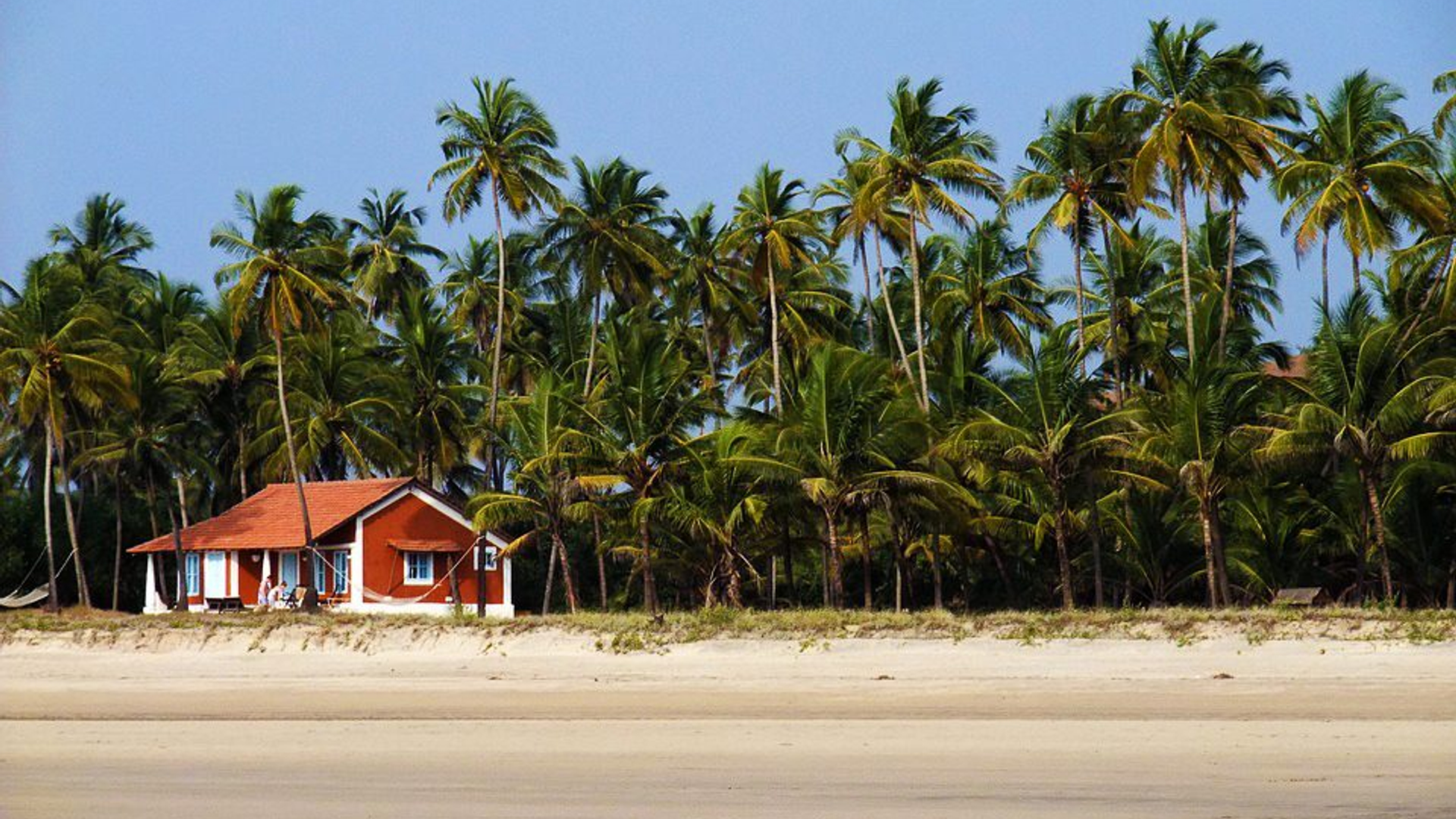 07deab85-1250-47c1-b6e8-0ea40b0eb6f8-1605104525