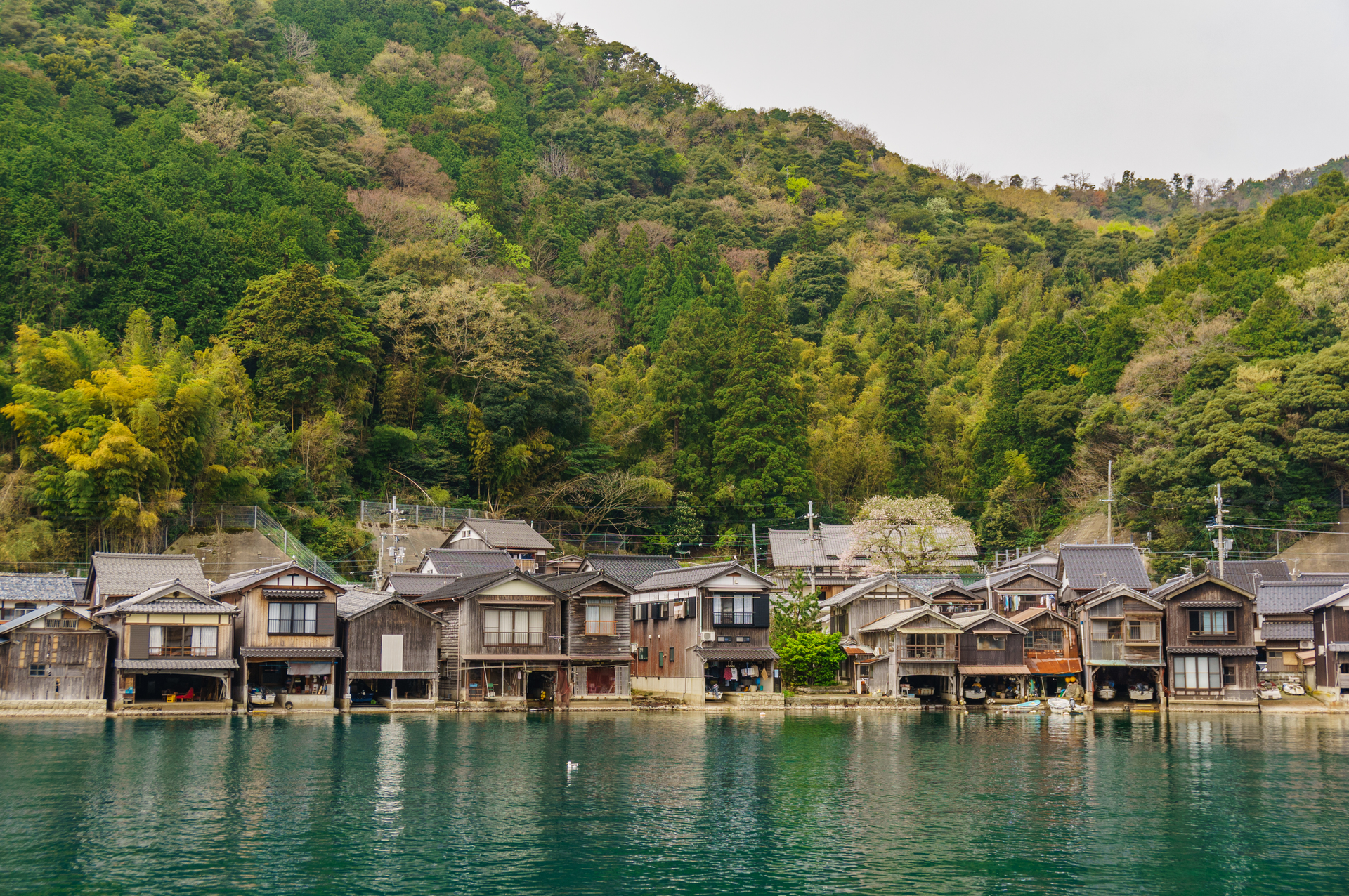 shutterstock_560871067-1671706380