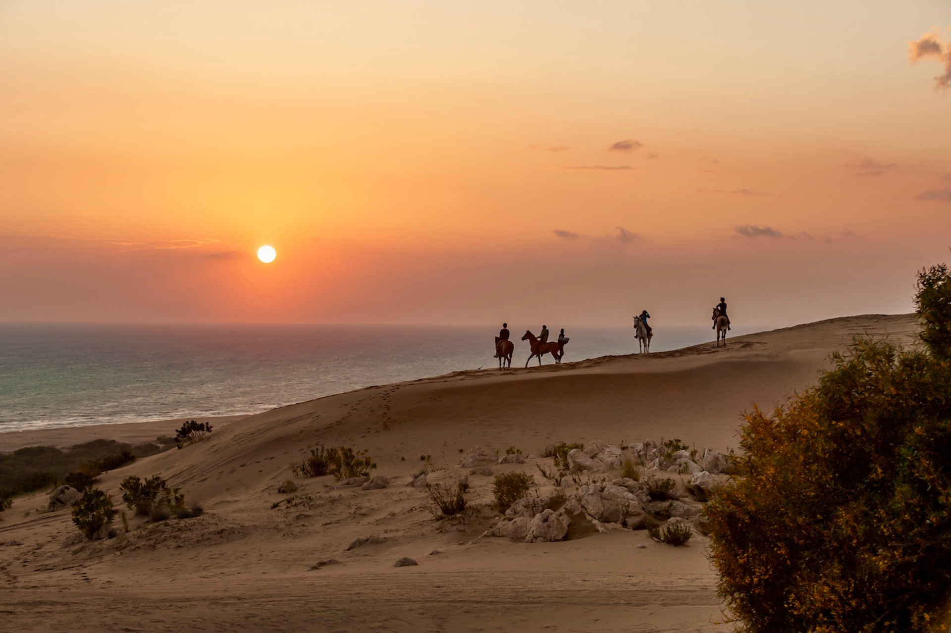 PATARA-4_2-1706188748