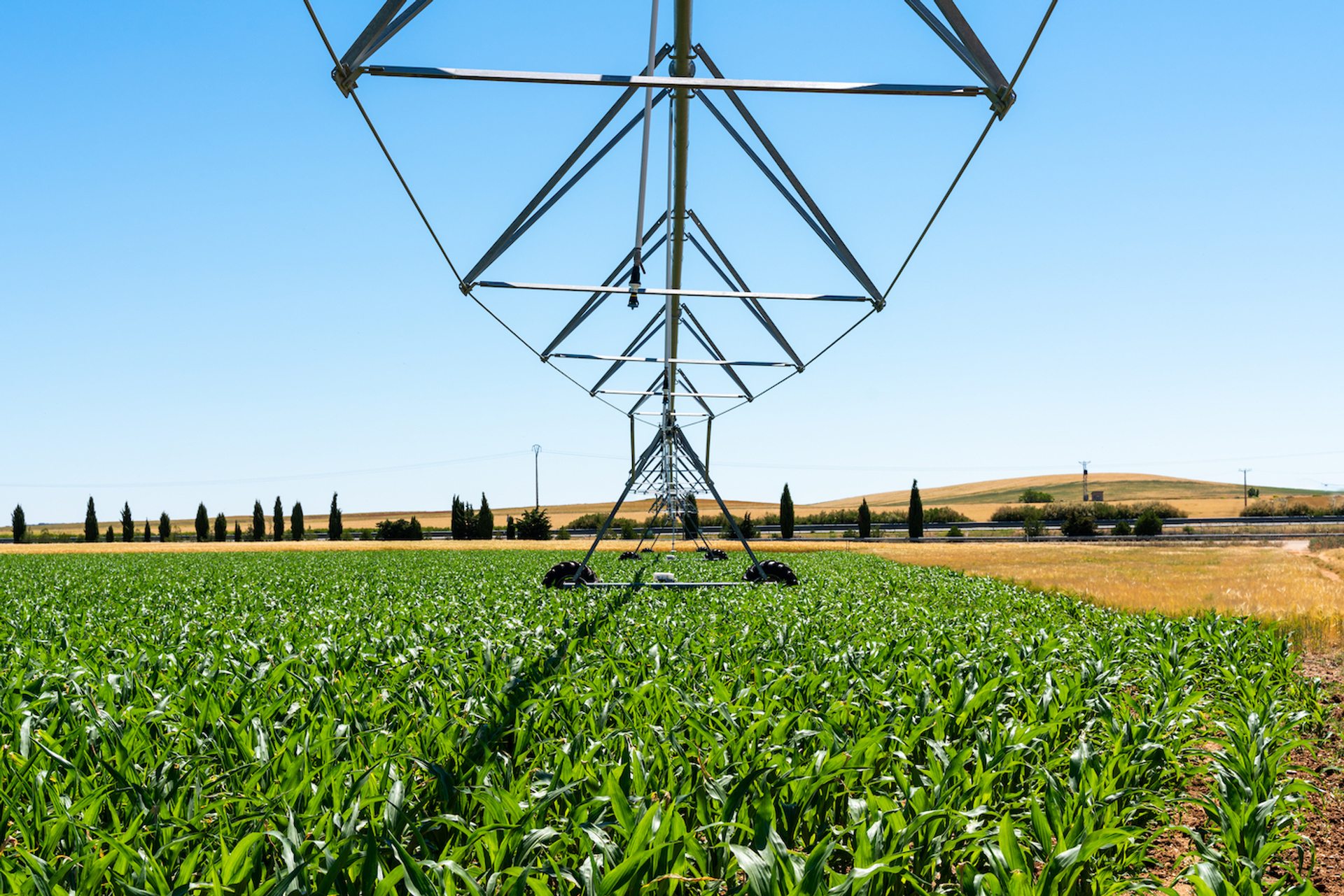 Armando_Oliveira-1692956797