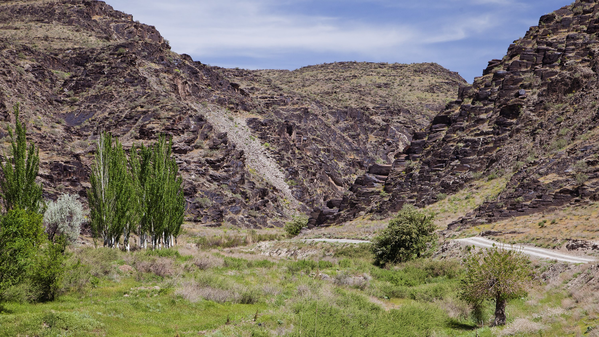 89eeaf7a-0fff-4074-b9c4-95f366b5f70b-1605105850