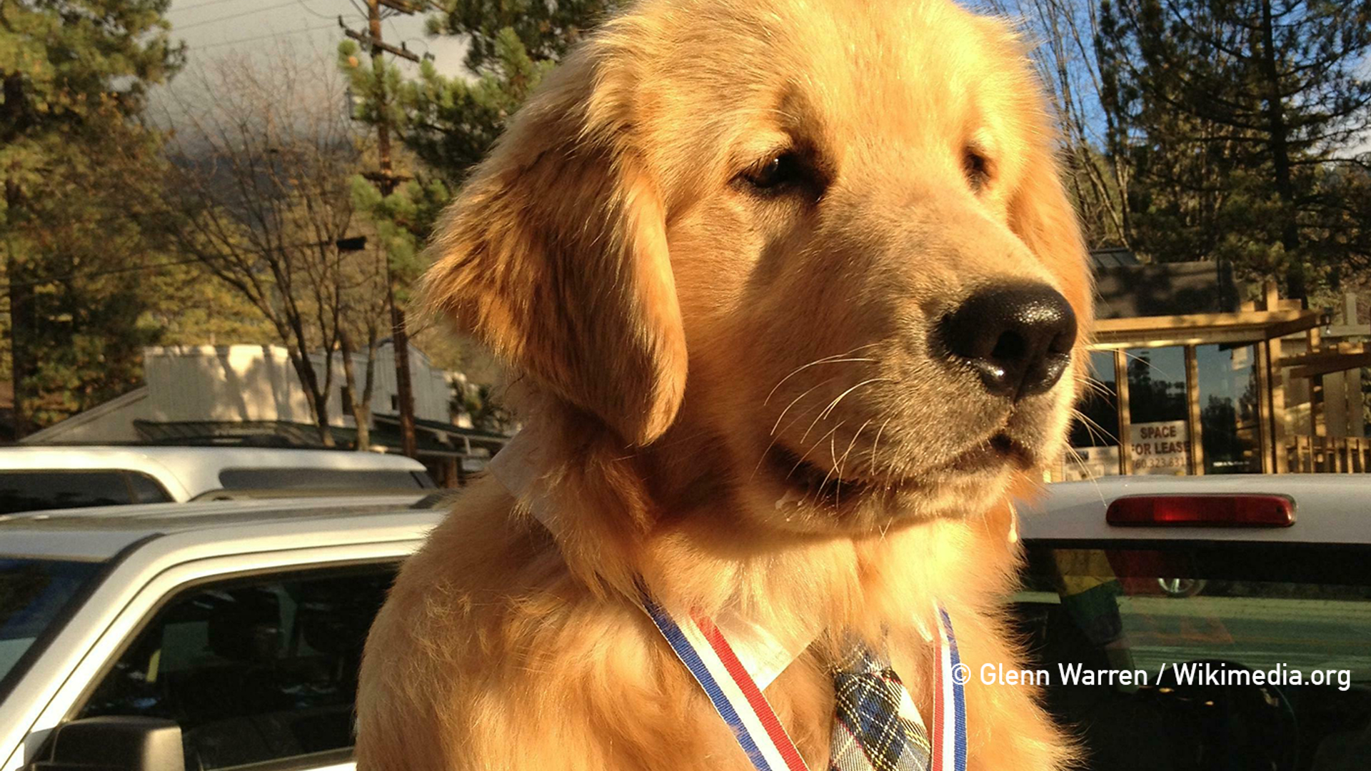 Foto_breed_Mayor_Max___credits-1684227470