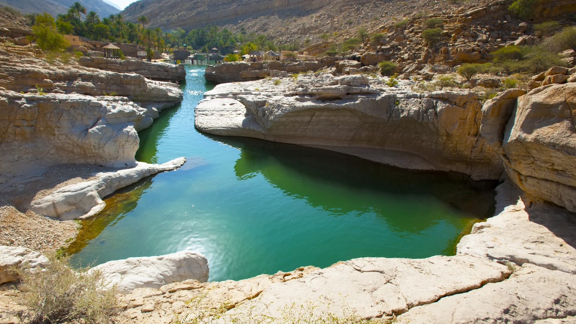 58b42453-1ae6-4903-bfe0-33e25a991a2e-1605103171