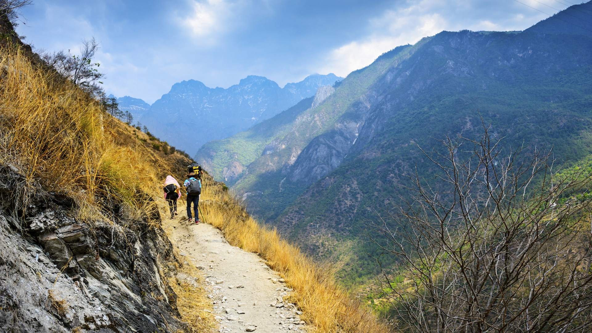 shutterstock_294443054-1627557486