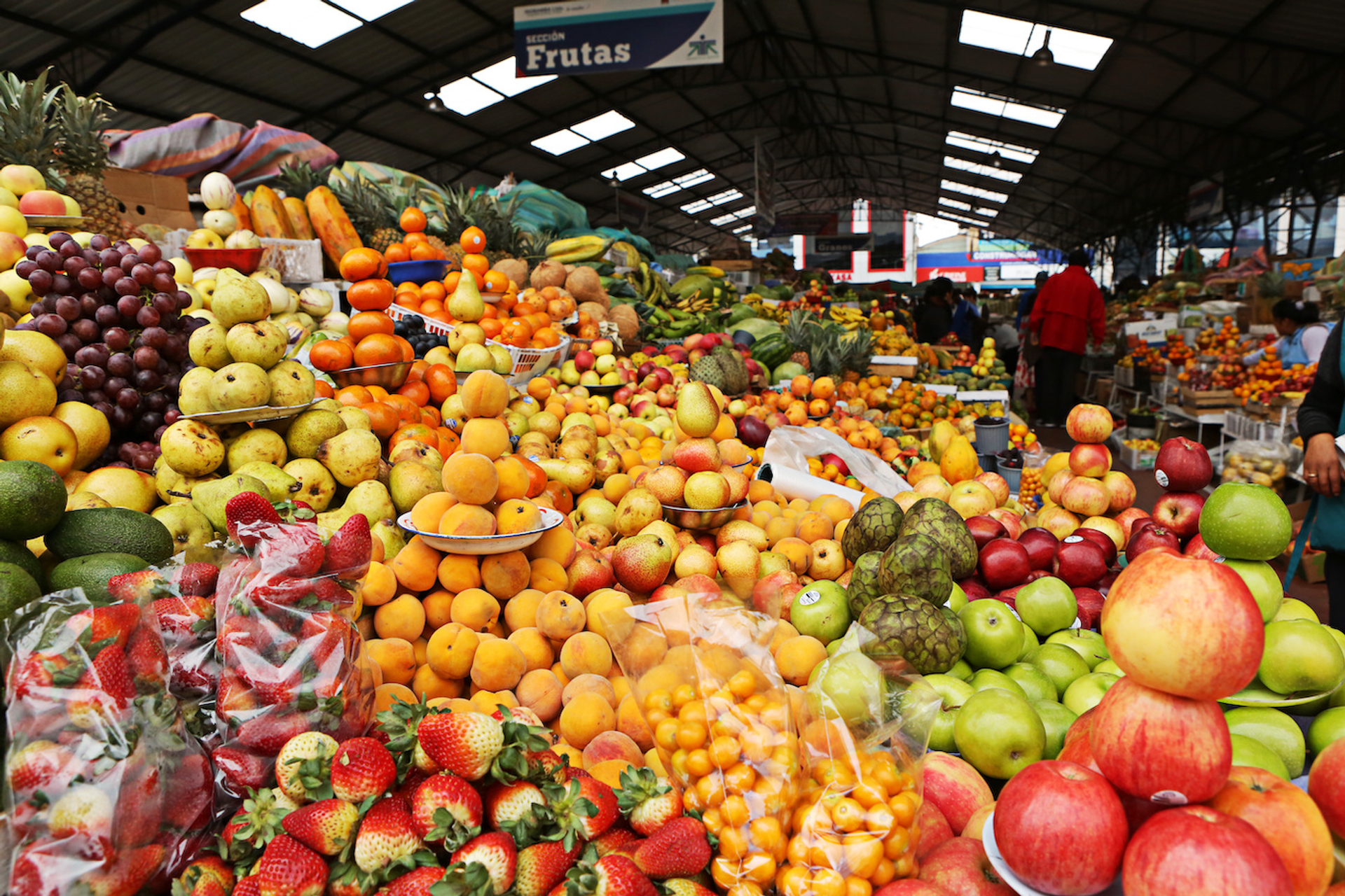 sruilk___Shutterstock.com-1696422434