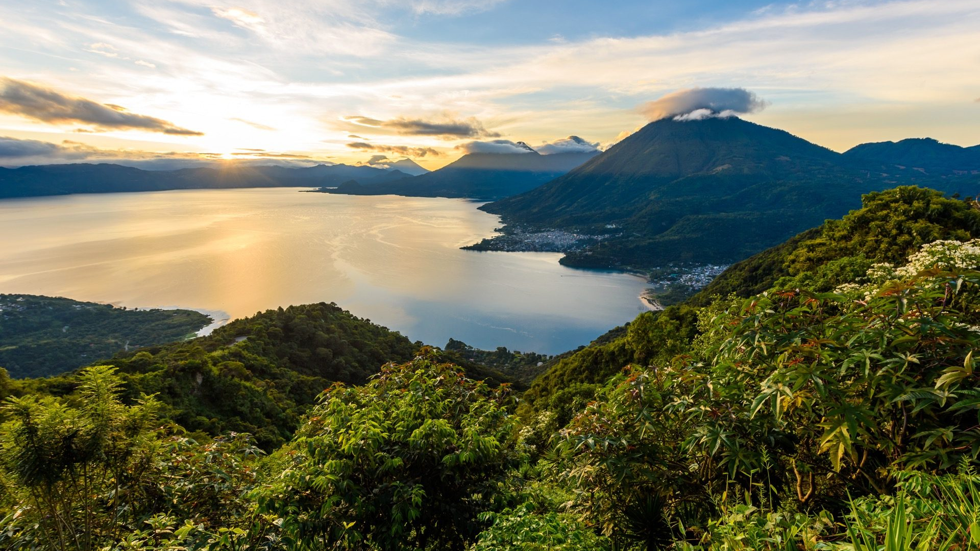 86ca5c6e-9fe8-4d5e-8c68-62993637b47e-1605103784