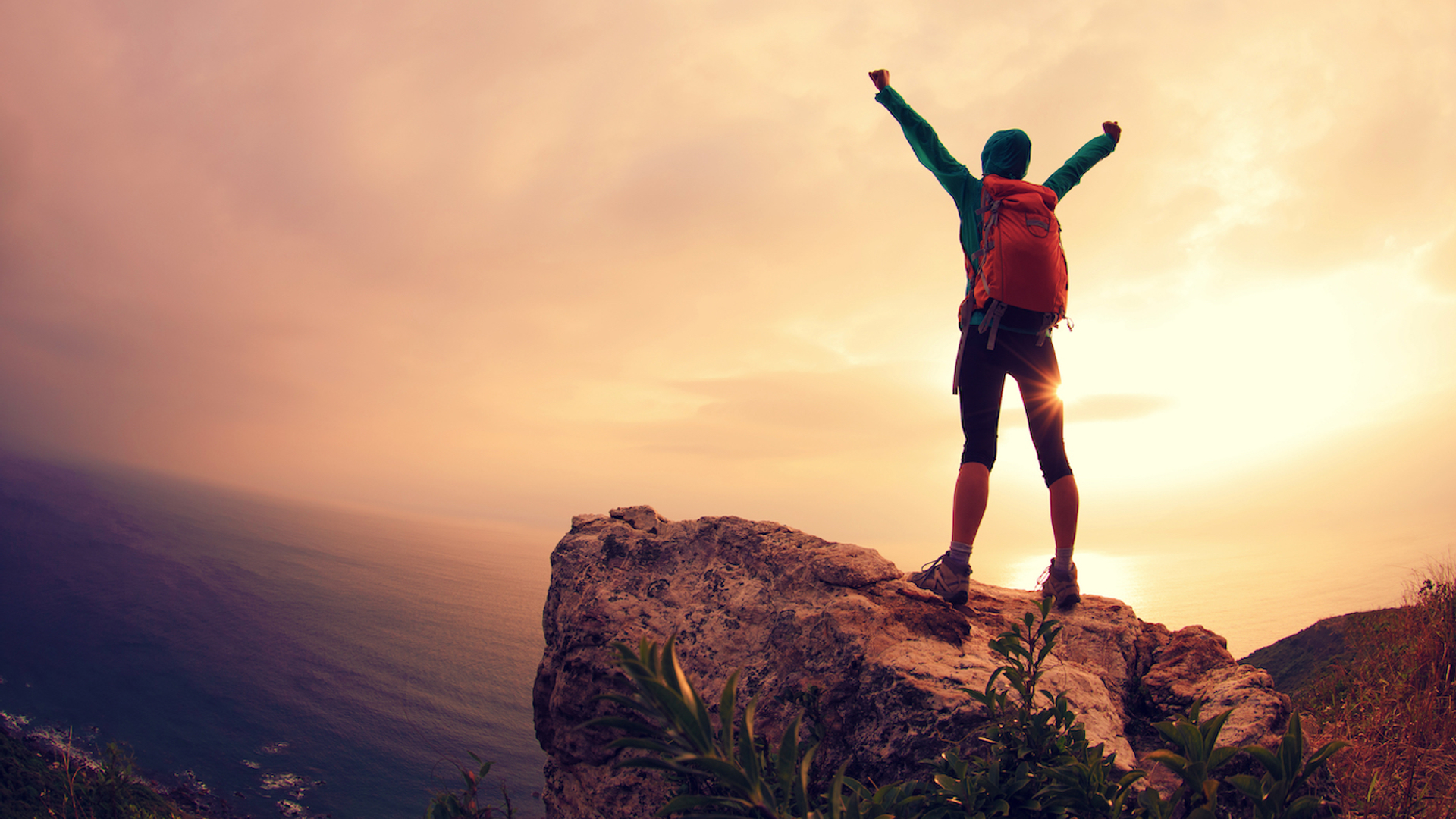 shutterstock_559997572-1691497576