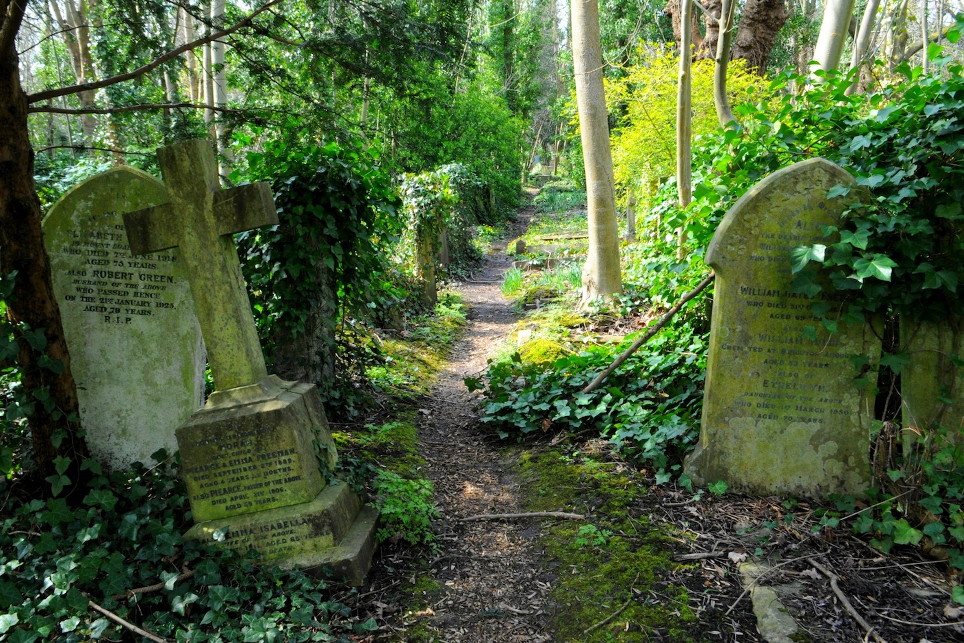 shutterstock_762737359-1637246195