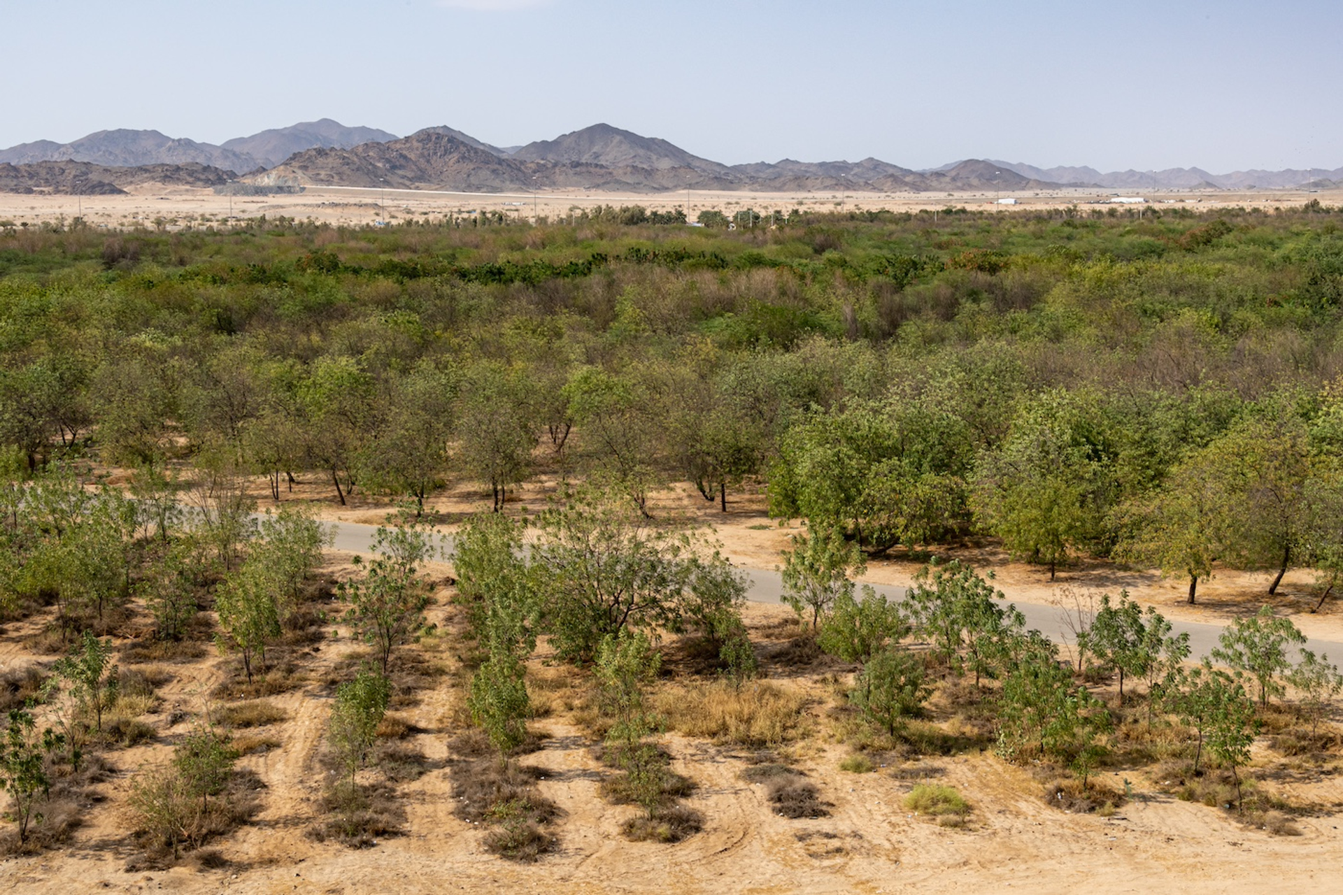 shutterstock_1994589455-1738333016