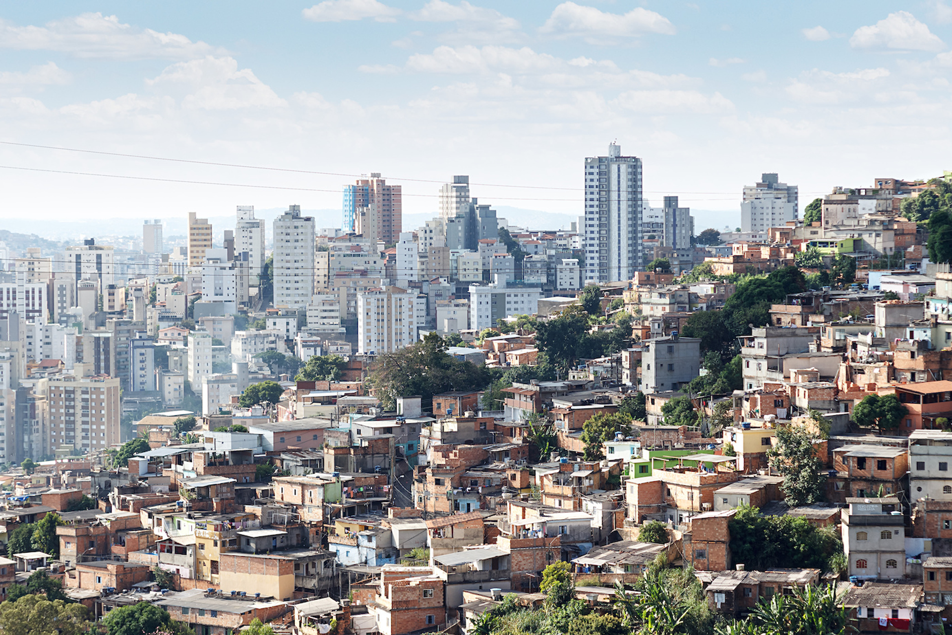 Fred_Cardoso-1638441477