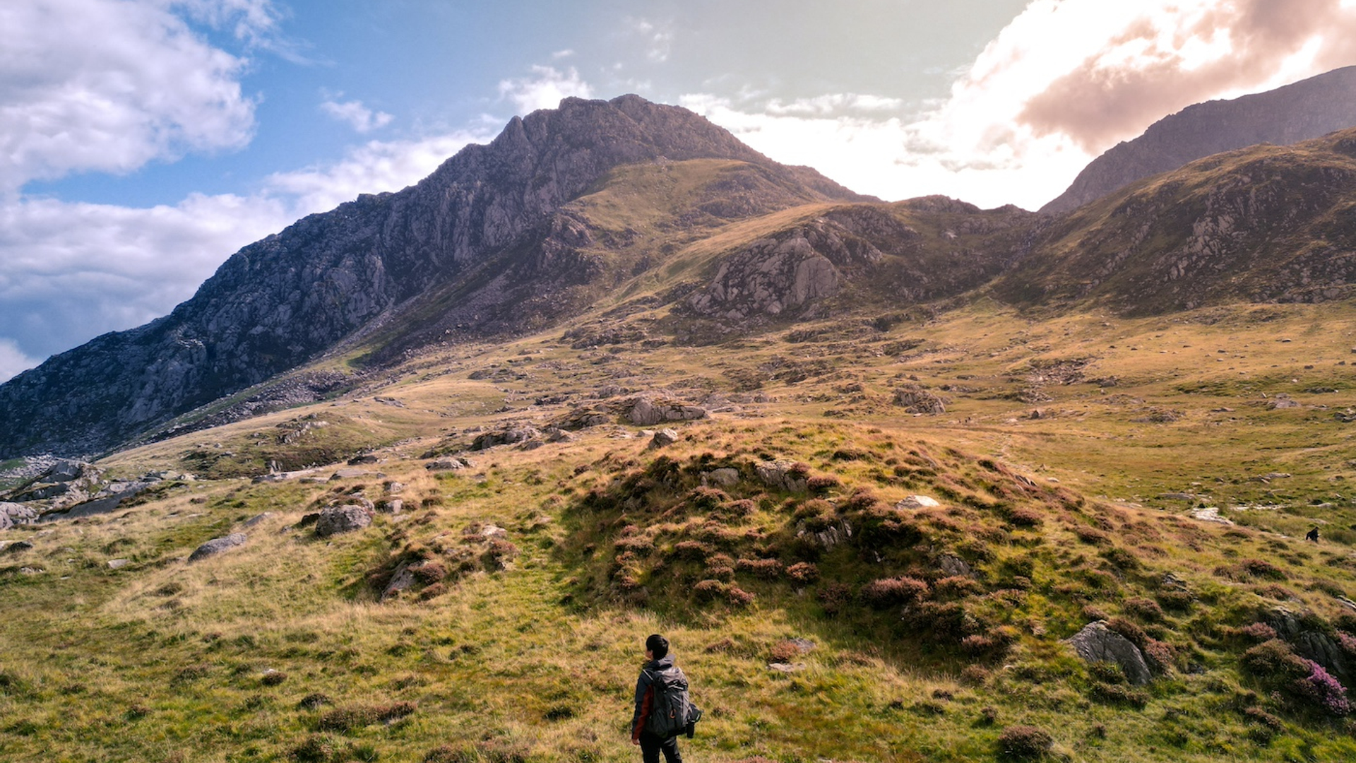 shutterstock_2206825369-1728478323