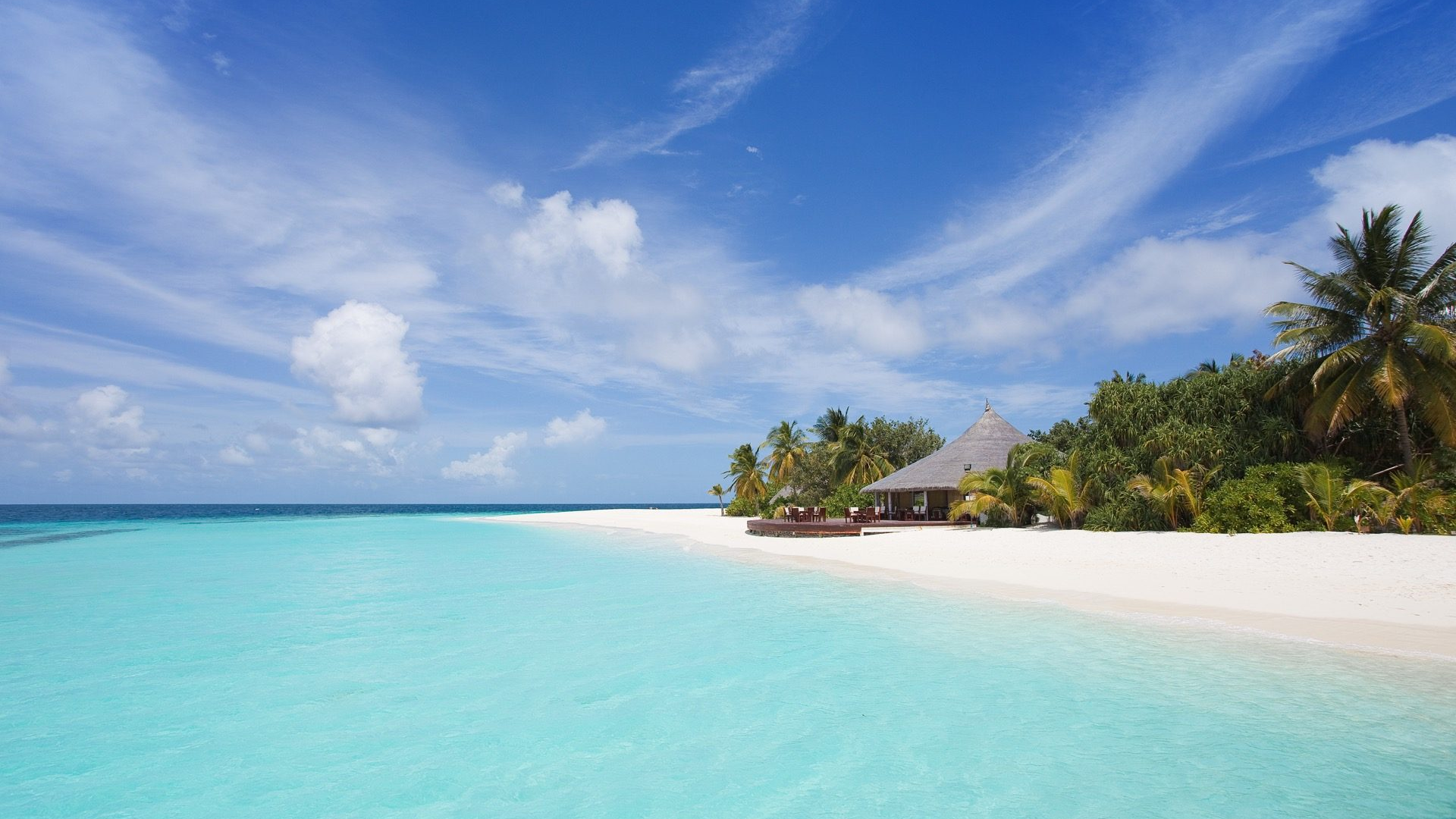 56b06de4-c2f2-4145-88ab-c0214fdbae10-1605101834