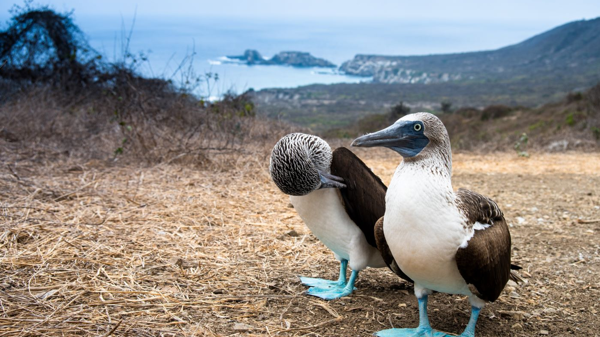 shutterstock_1750776929-1697728299