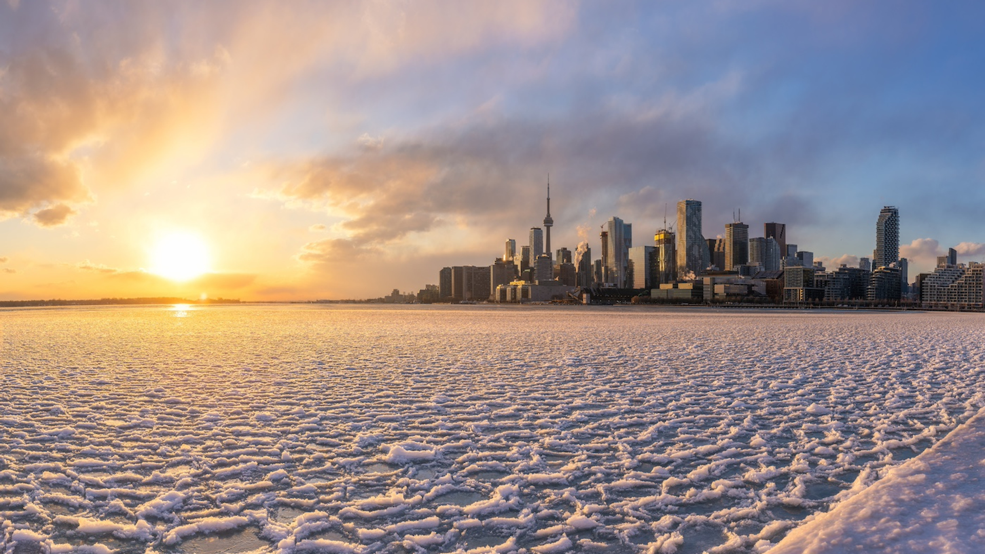 shutterstock_2576084755-1740579696