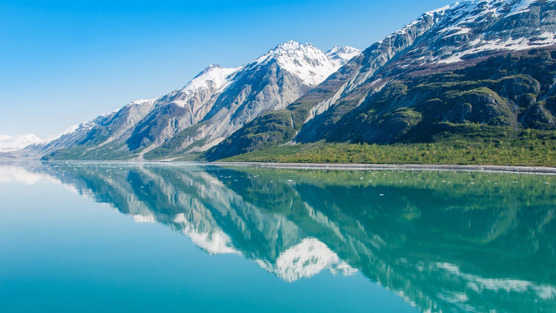 205a9971-7f6c-4756-8994-9a3d5cc1c19f-1605091487