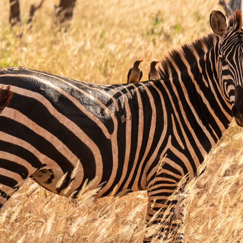 LUMO Wildlife Conservancy