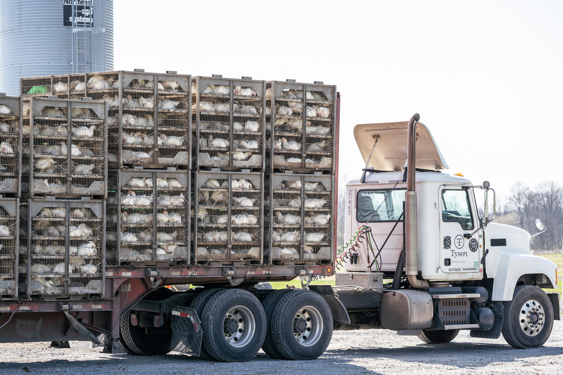 shutterstock_1954741126-1695981601