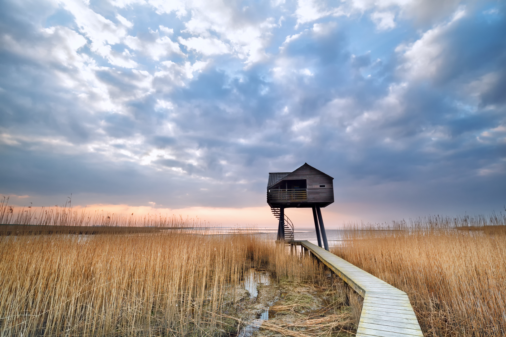 shutterstock_408675403-1617894511